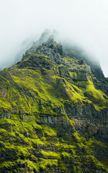mountain peak, green mountain Wallpaper 1752x2800