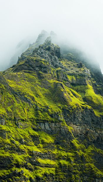 mountain peak, green mountain Wallpaper 640x1136