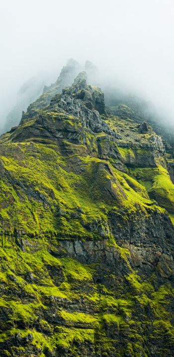 mountain peak, green mountain Wallpaper 1080x2220