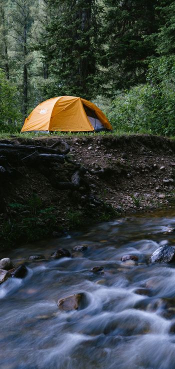 camping Wallpaper 1440x3040