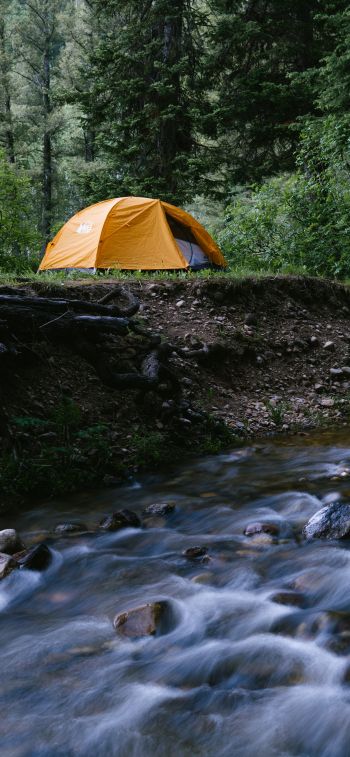 camping Wallpaper 828x1792