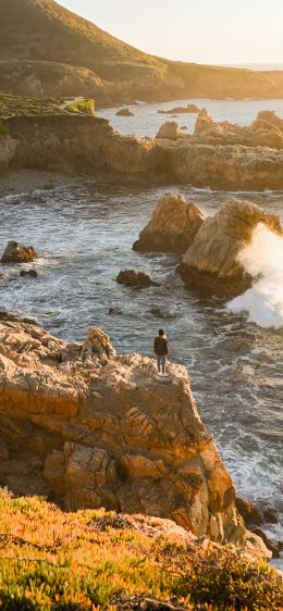 Big Sur, California, USA Wallpaper 1125x2436