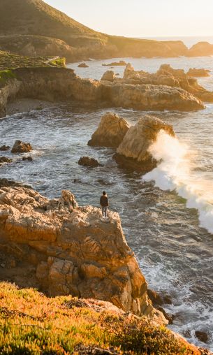 Big Sur, California, USA Wallpaper 1200x2000