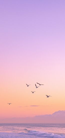 earlier morning, at sea Wallpaper 1080x2280