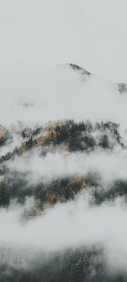 the fog descended from the mountains Wallpaper 1440x3200