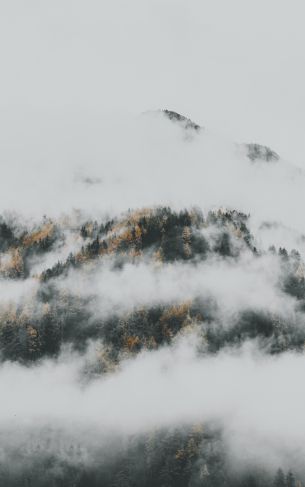 the fog descended from the mountains Wallpaper 1752x2800