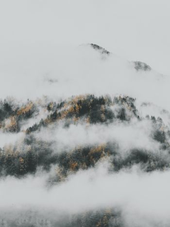the fog descended from the mountains Wallpaper 1620x2160