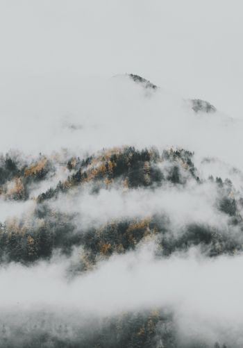 the fog descended from the mountains Wallpaper 1668x2388