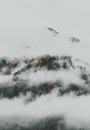the fog descended from the mountains Wallpaper 1640x2360