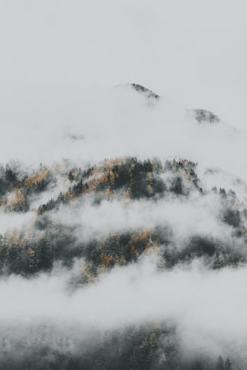 Обои 640x960 туман спустился с гор