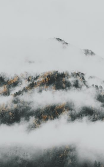Обои 800x1280 туман спустился с гор