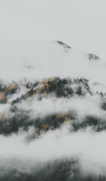 the fog descended from the mountains Wallpaper 600x1024