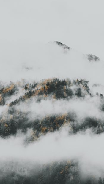 Обои 640x1136 туман спустился с гор