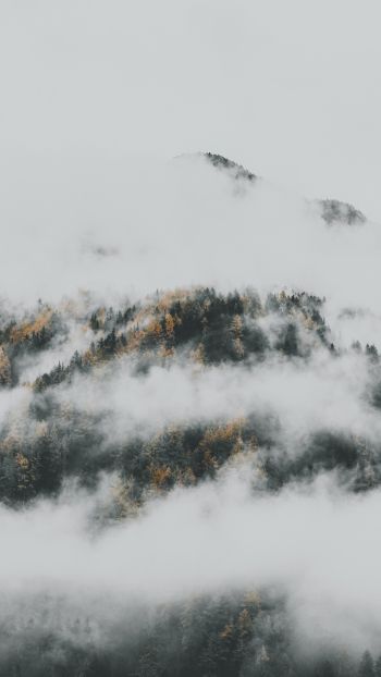 the fog descended from the mountains Wallpaper 750x1334