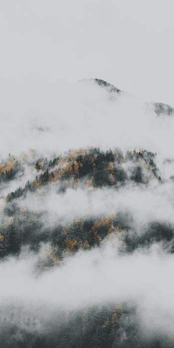 the fog descended from the mountains Wallpaper 720x1440