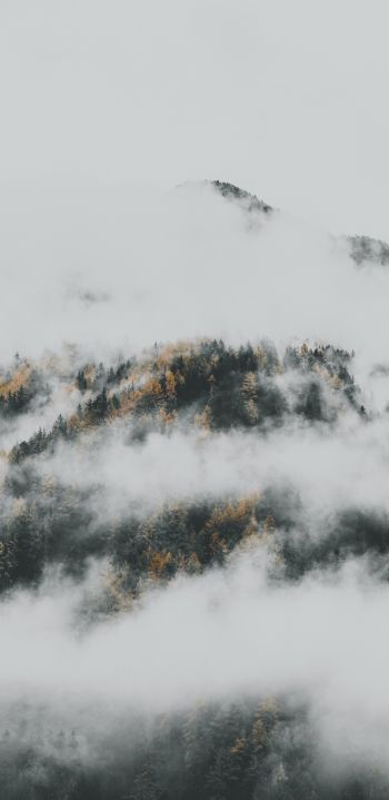 the fog descended from the mountains Wallpaper 1080x2220