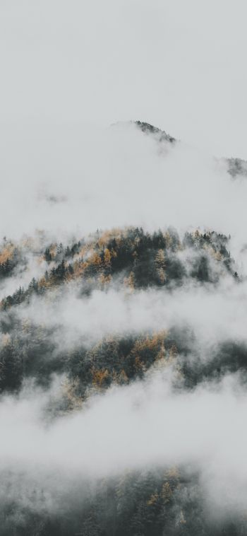 the fog descended from the mountains Wallpaper 1080x2340