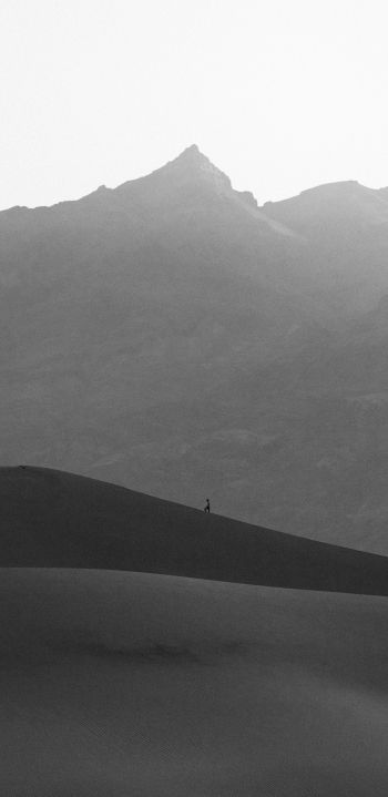 Death Valley, California, USA Wallpaper 1440x2960