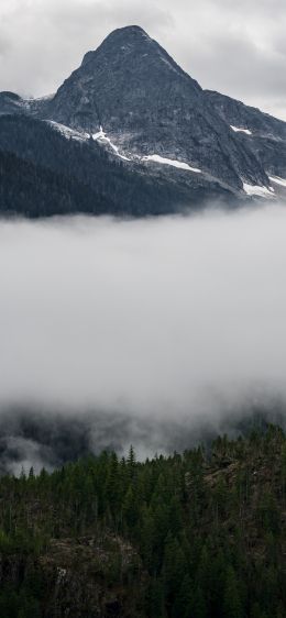 North Cascades National Park, Washington, USA Wallpaper 1125x2436