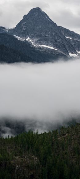 North Cascades National Park, Washington, USA Wallpaper 1440x3200