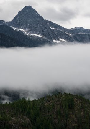 North Cascades National Park, Washington, USA Wallpaper 1640x2360