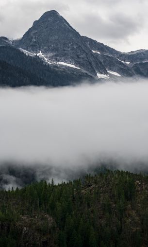 North Cascades National Park, Washington, USA Wallpaper 1200x2000