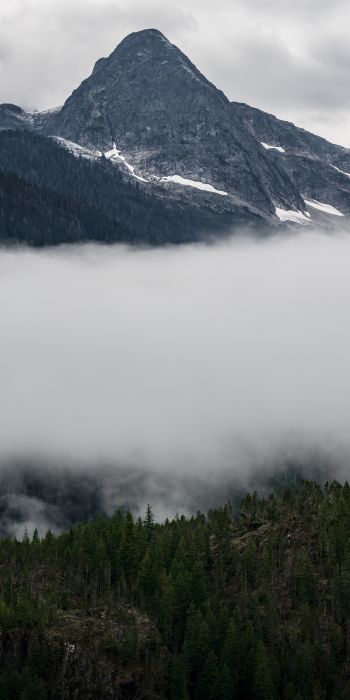 North Cascades National Park, Washington, USA Wallpaper 720x1440