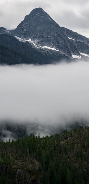 North Cascades National Park, Washington, USA Wallpaper 1440x2960