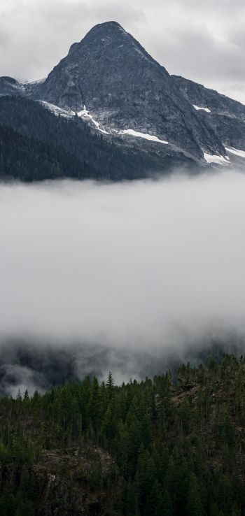 North Cascades National Park, Washington, USA Wallpaper 720x1520