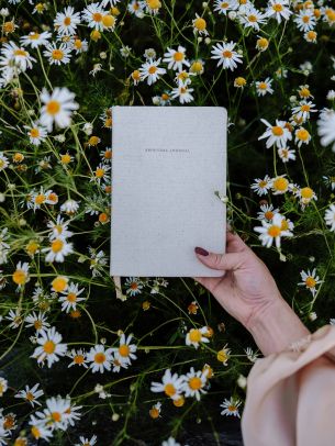 book, daisies Wallpaper 1620x2160