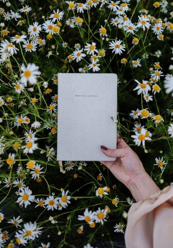 book, daisies Wallpaper 1640x2360