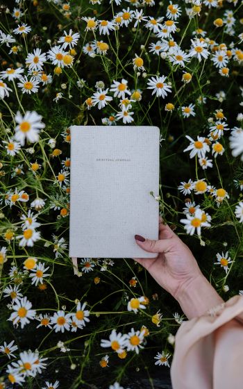 book, daisies Wallpaper 1600x2560