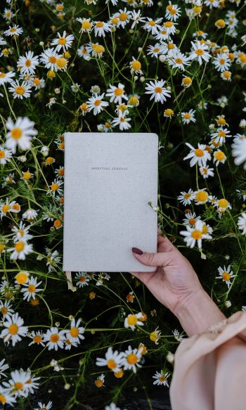 book, daisies Wallpaper 1200x2000