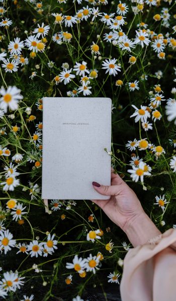 book, daisies Wallpaper 600x1024
