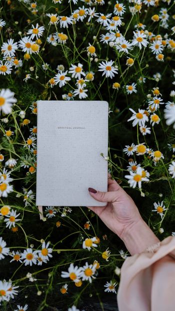 book, daisies Wallpaper 640x1136