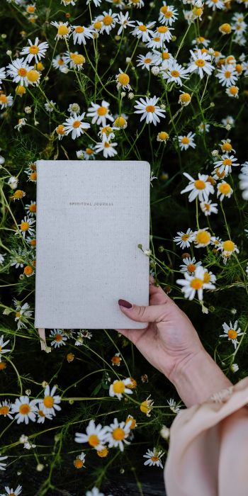 book, daisies Wallpaper 720x1440