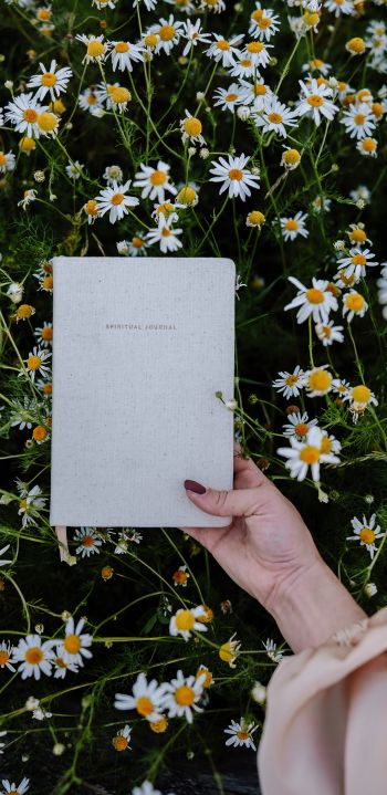 book, daisies Wallpaper 1080x2220