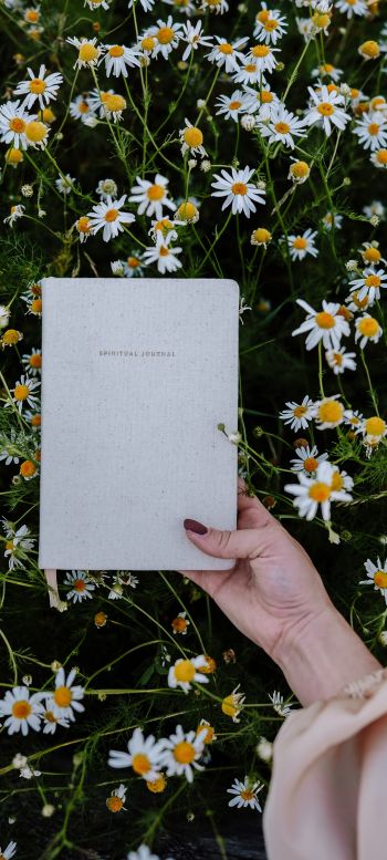 book, daisies Wallpaper 720x1600