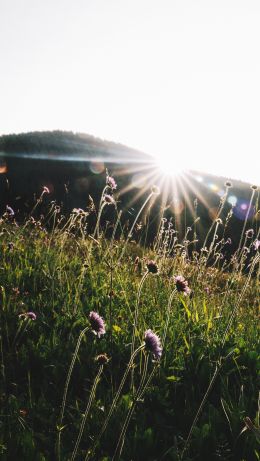 sun, mountains Wallpaper 640x1136