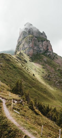 Обои 720x1600 тропинка в горы, скала