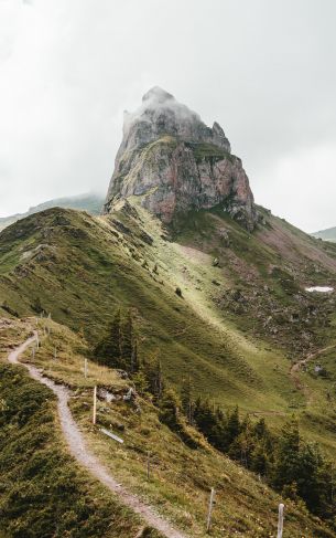 path to the mountains, scale Wallpaper 1752x2800