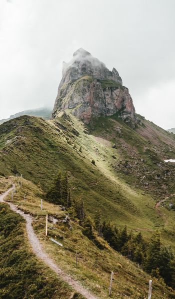 path to the mountains, scale Wallpaper 600x1024
