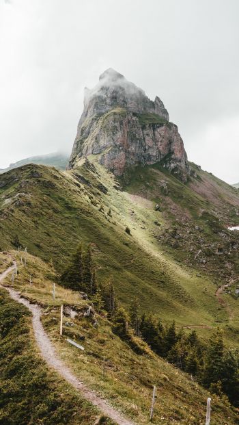 path to the mountains, scale Wallpaper 640x1136