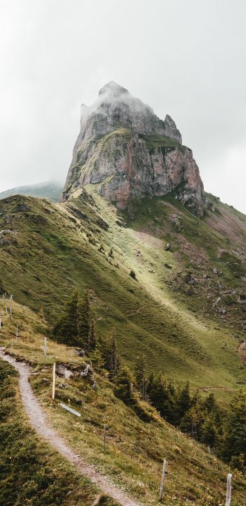 path to the mountains, scale Wallpaper 1080x2220