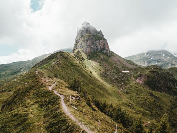 path to the mountains, scale Wallpaper 800x600