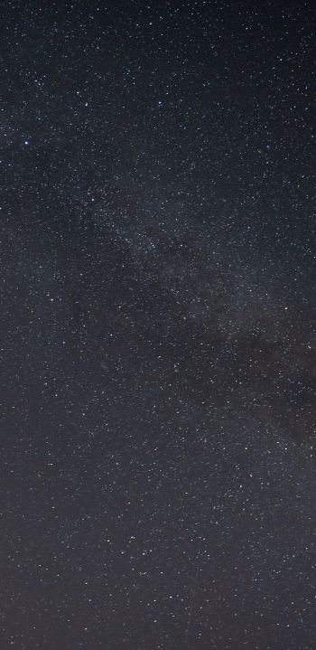 starry sky Wallpaper 1440x2960