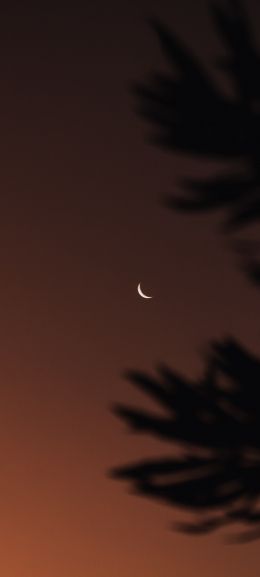 moon, night sky Wallpaper 1080x2400