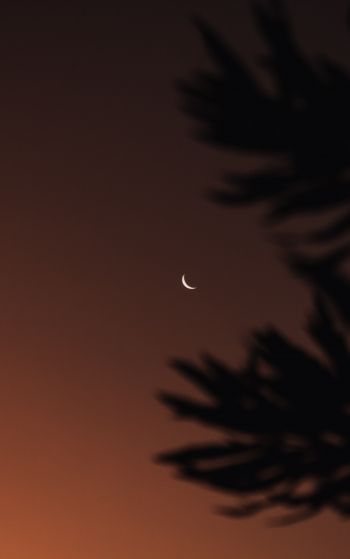 moon, night sky Wallpaper 1752x2800