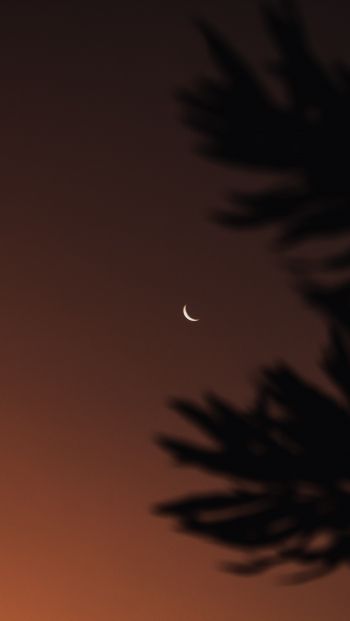 moon, night sky Wallpaper 640x1136