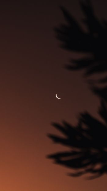 moon, night sky Wallpaper 750x1334
